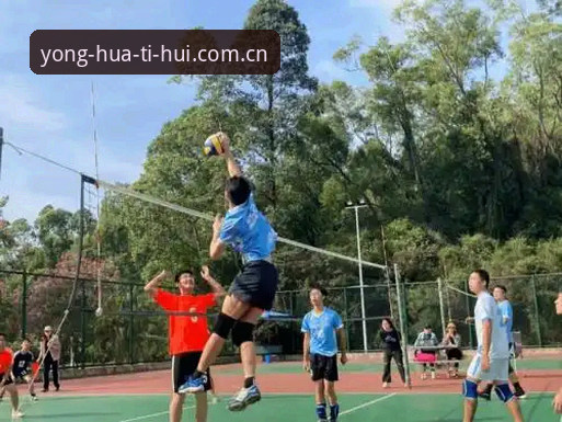 华体会体育数据服务实用指南：如何高效获取专业体育数据